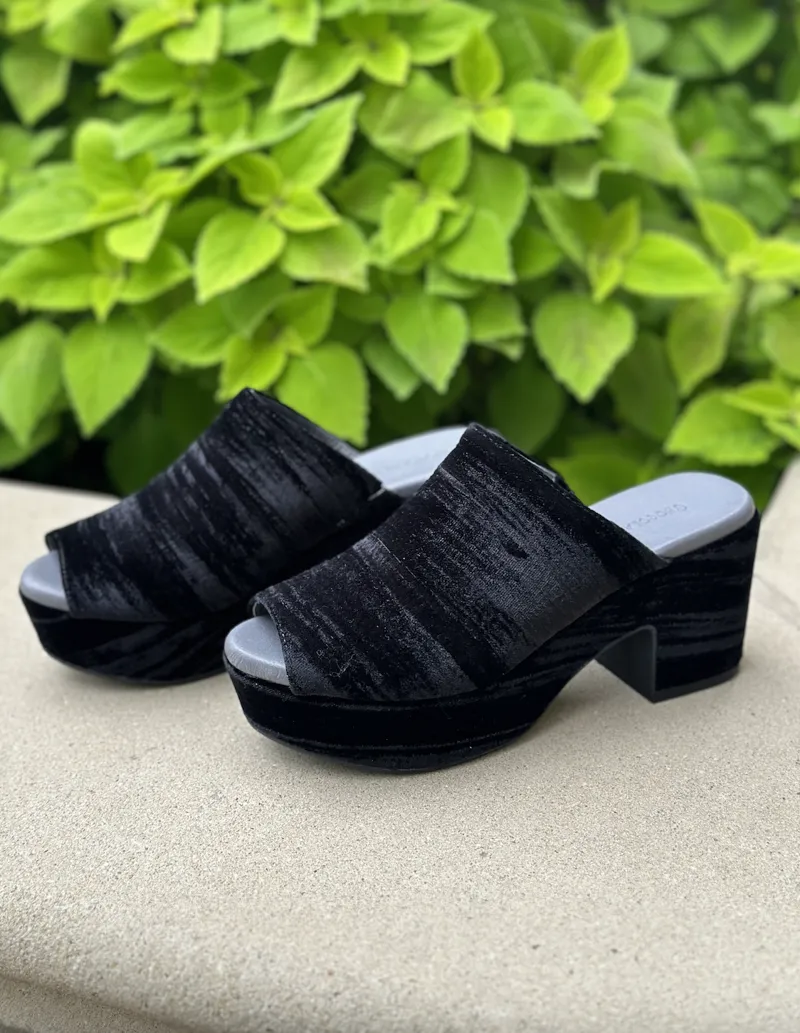 Chocolat Blu Gordie Clog - Black Velvet